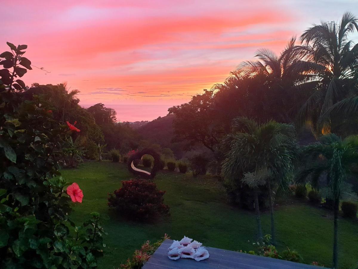 Gite 4 Etoiles, La Vieille Sucrerie St Claude Guadeloupe, Jacuzzi Spa Privatif, Vue Exceptionnelle Sur La Mer Des Caraibes Basse-Terre Dış mekan fotoğraf