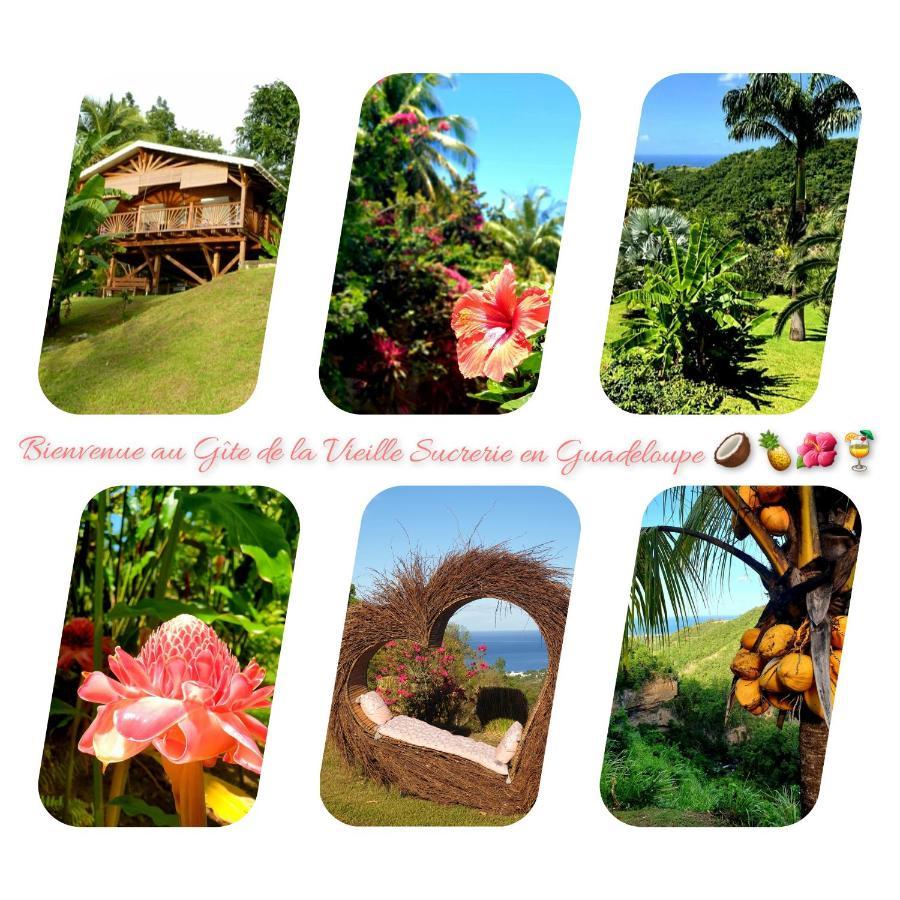 Gite 4 Etoiles, La Vieille Sucrerie St Claude Guadeloupe, Jacuzzi Spa Privatif, Vue Exceptionnelle Sur La Mer Des Caraibes Basse-Terre Dış mekan fotoğraf