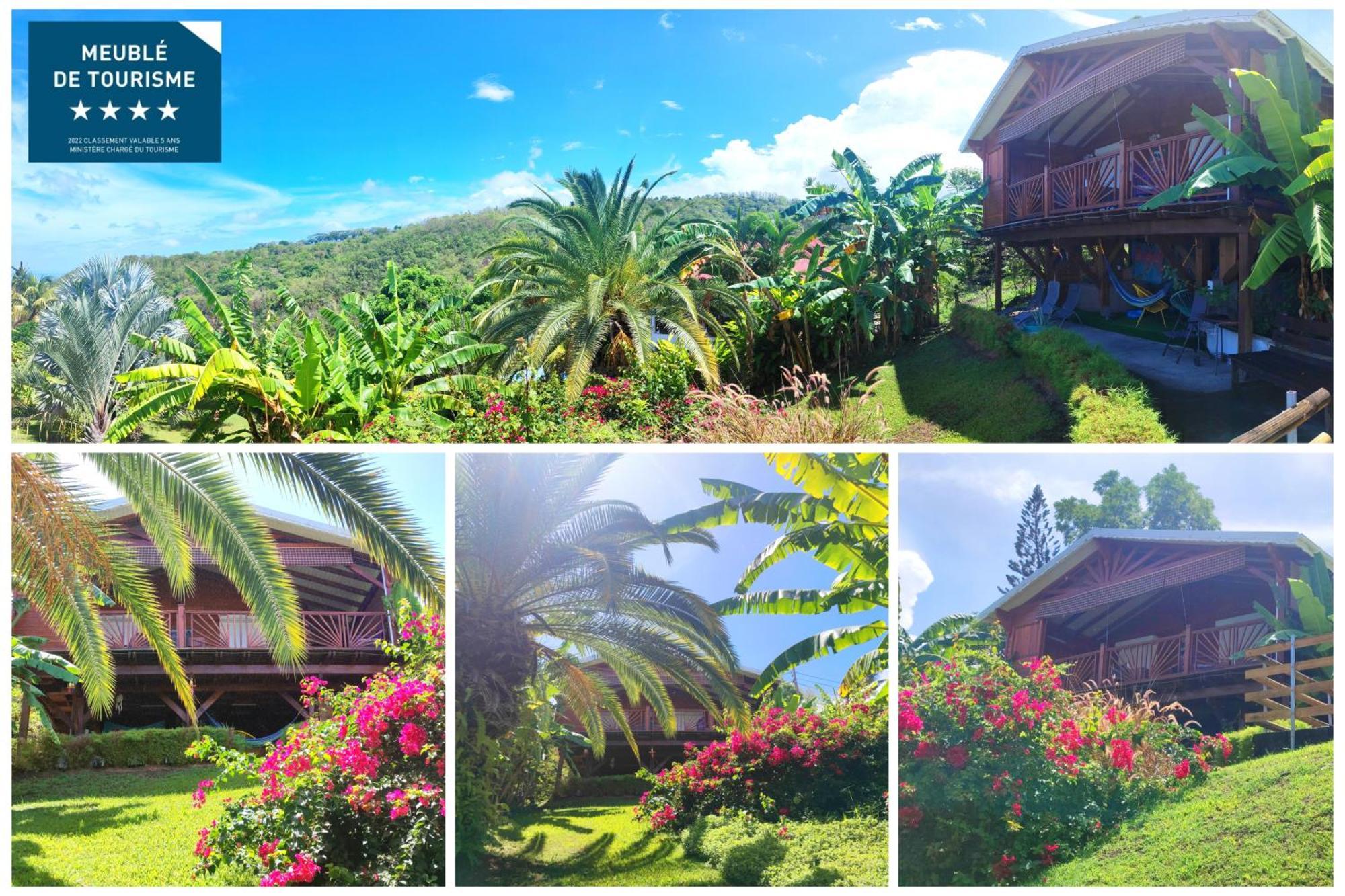 Gite 4 Etoiles, La Vieille Sucrerie St Claude Guadeloupe, Jacuzzi Spa Privatif, Vue Exceptionnelle Sur La Mer Des Caraibes Basse-Terre Dış mekan fotoğraf