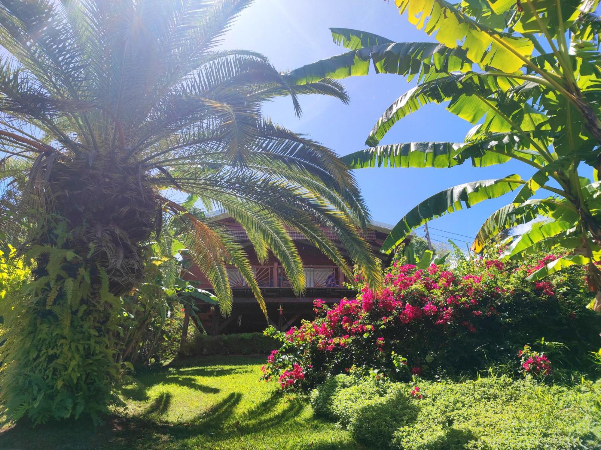 Gite 4 Etoiles, La Vieille Sucrerie St Claude Guadeloupe, Jacuzzi Spa Privatif, Vue Exceptionnelle Sur La Mer Des Caraibes Basse-Terre Dış mekan fotoğraf
